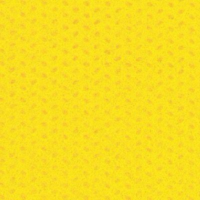 A01311_b2_Coprimacchia_100x100_TNT_Giallo
