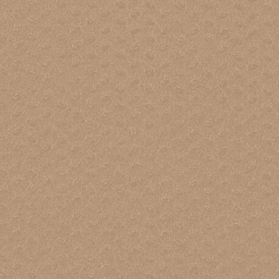 A01319_b2_Coprimacchia_100x100_TNT_Sabbia
