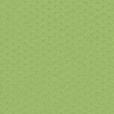 A01322_b2_Coprimacchia_100x100_TNT_VerdeMela